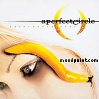 A Perfect Circle - Thirteenth Step Album
