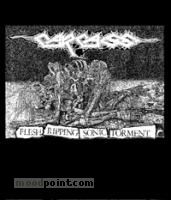 Carcass - Flesh Ripping Sonic Torment Album