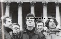 Echo And The Bunnymen Author
