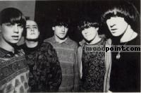 Inspiral Carpets Author